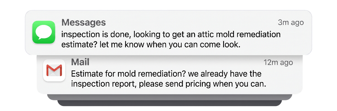 Mold remediation project